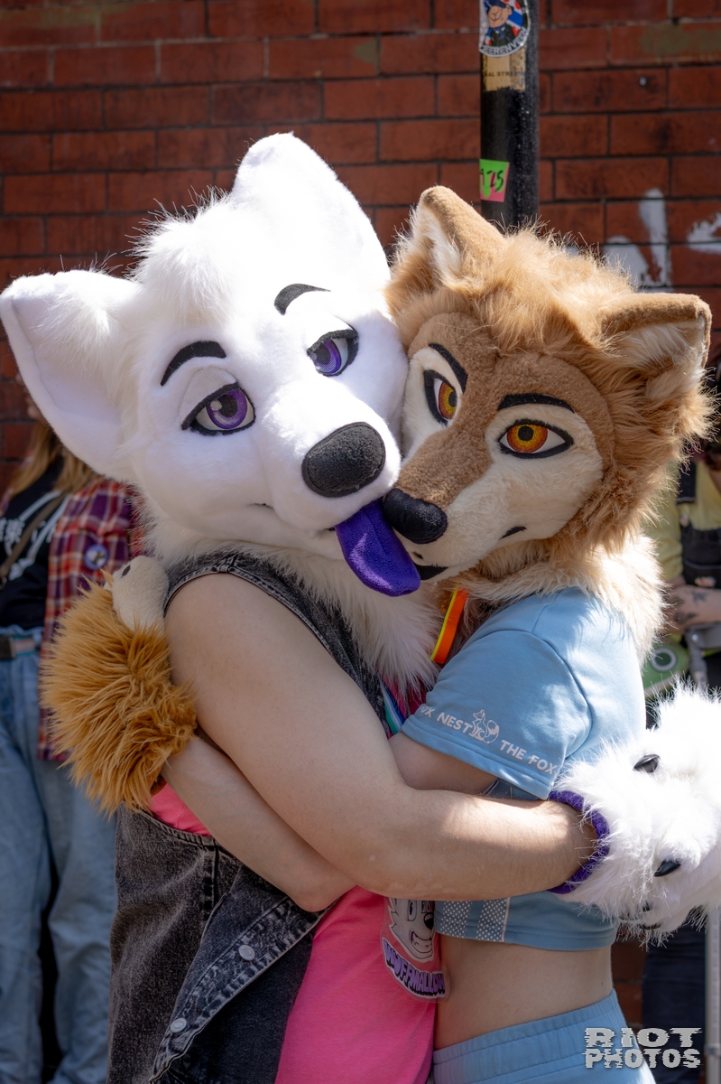 2026-07-11 MancFurs-202607-005.jpg