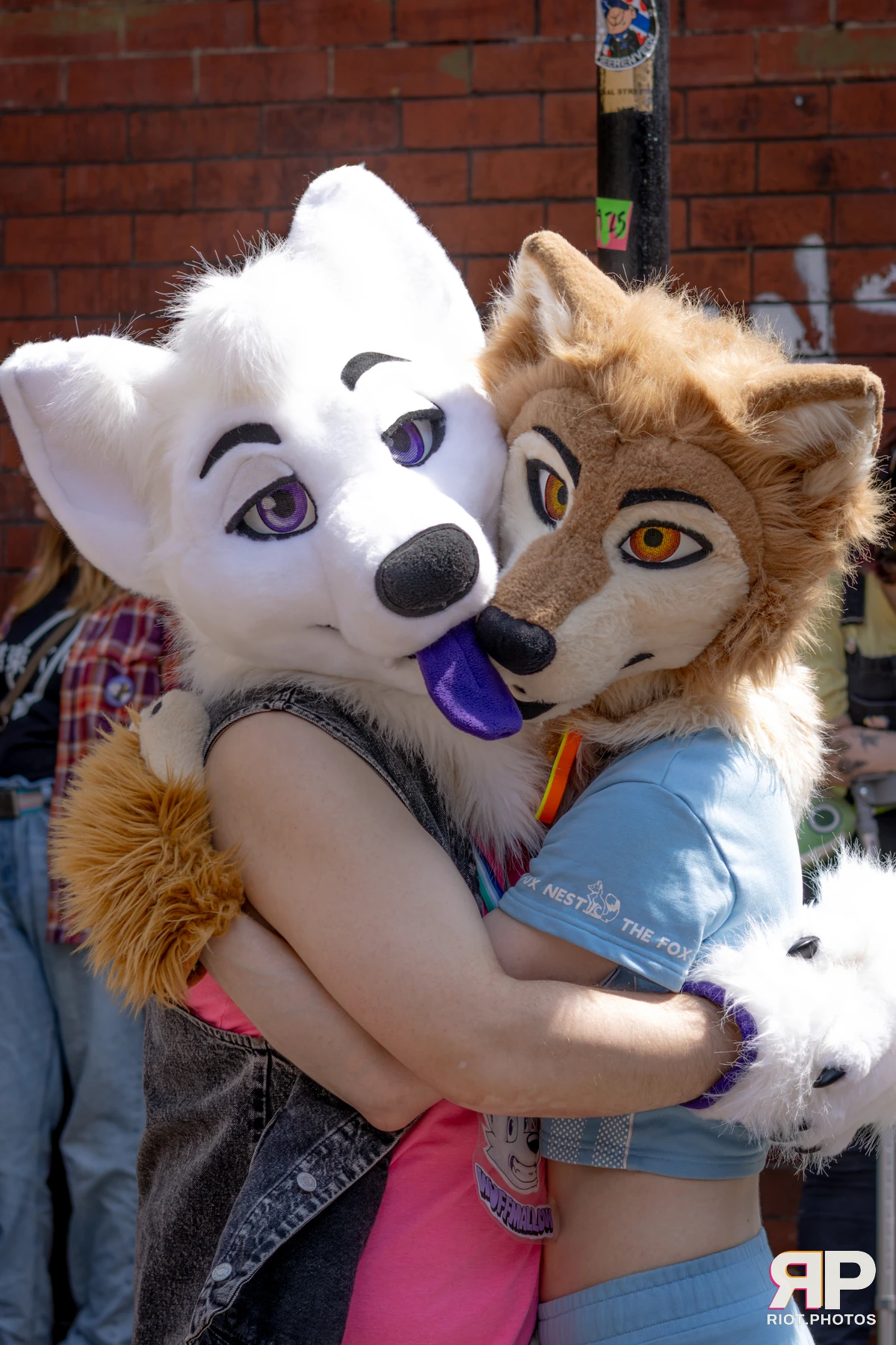 MancFurs - July, 2026 — 11 Jul 2026, Fluffy Riot photography — photo 5