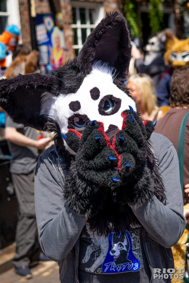 2026-07-11 MancFurs-202607-007.jpg