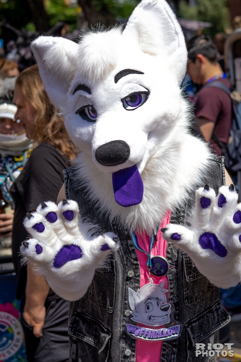 2026-07-11 MancFurs-202607-008.jpg
