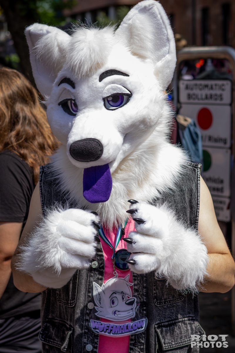 2026-07-11 MancFurs-202607-009.jpg
