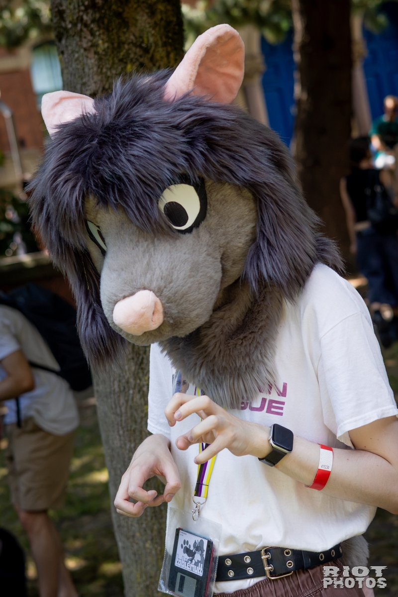 2026-07-11 MancFurs-202607-011.jpg
