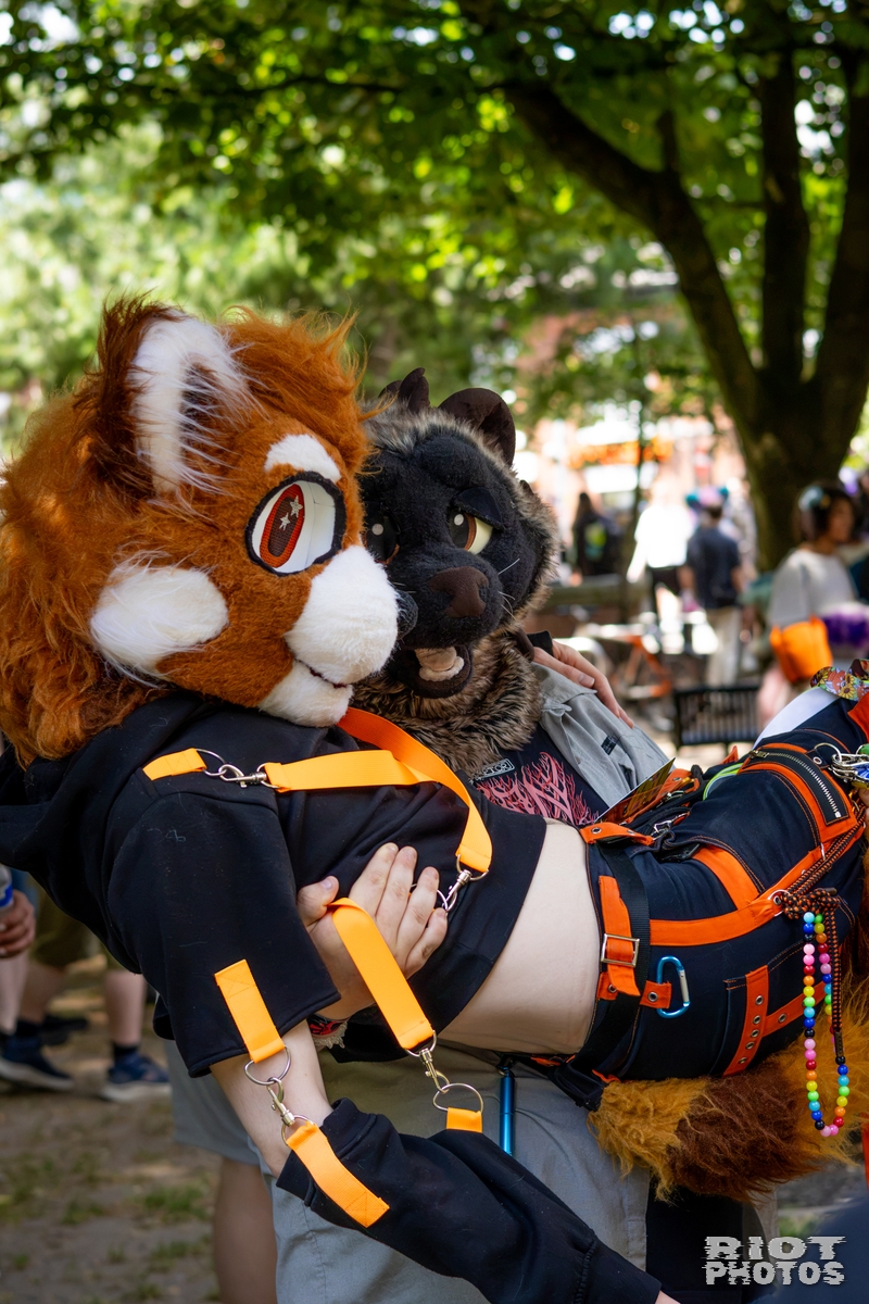 2026-07-11 MancFurs-202607-012.jpg
