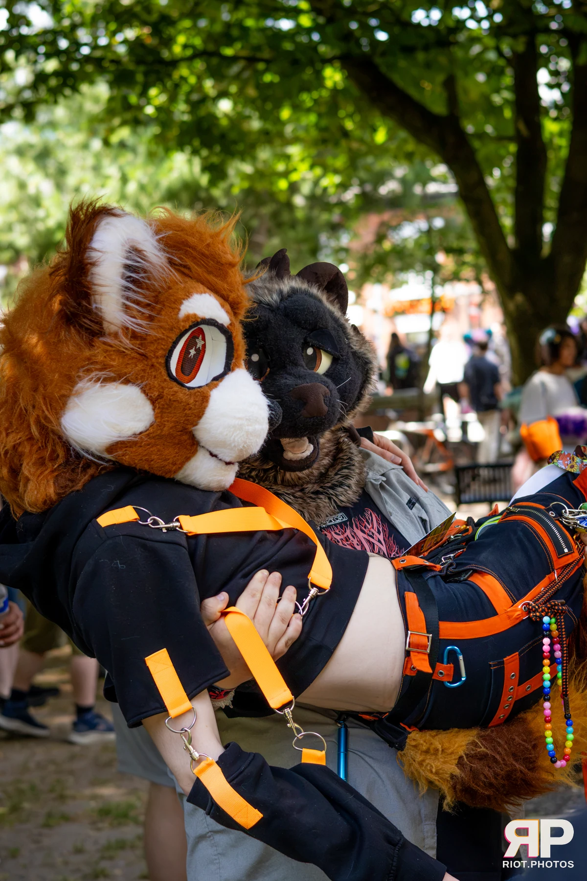 MancFurs - July, 2026 — 11 Jul 2026, Fluffy Riot photography — photo 12