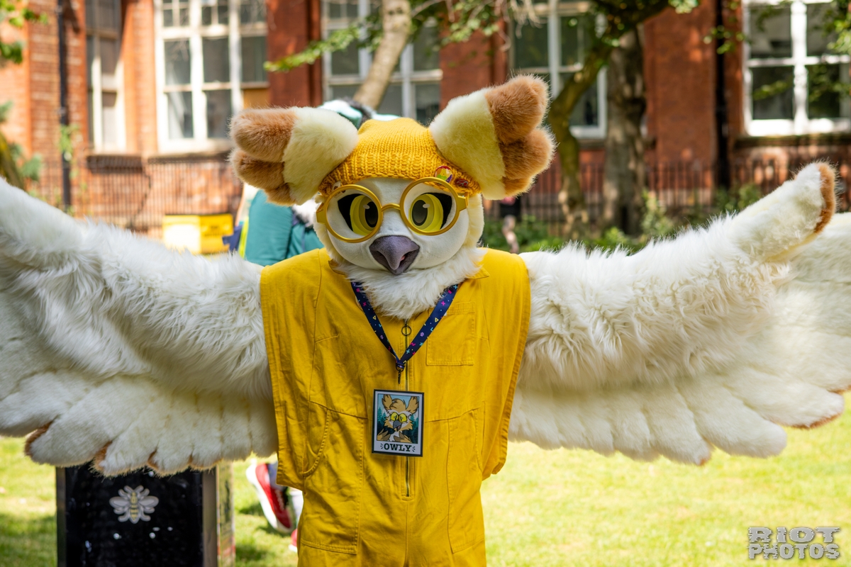 2026-07-11 MancFurs-202607-013.jpg