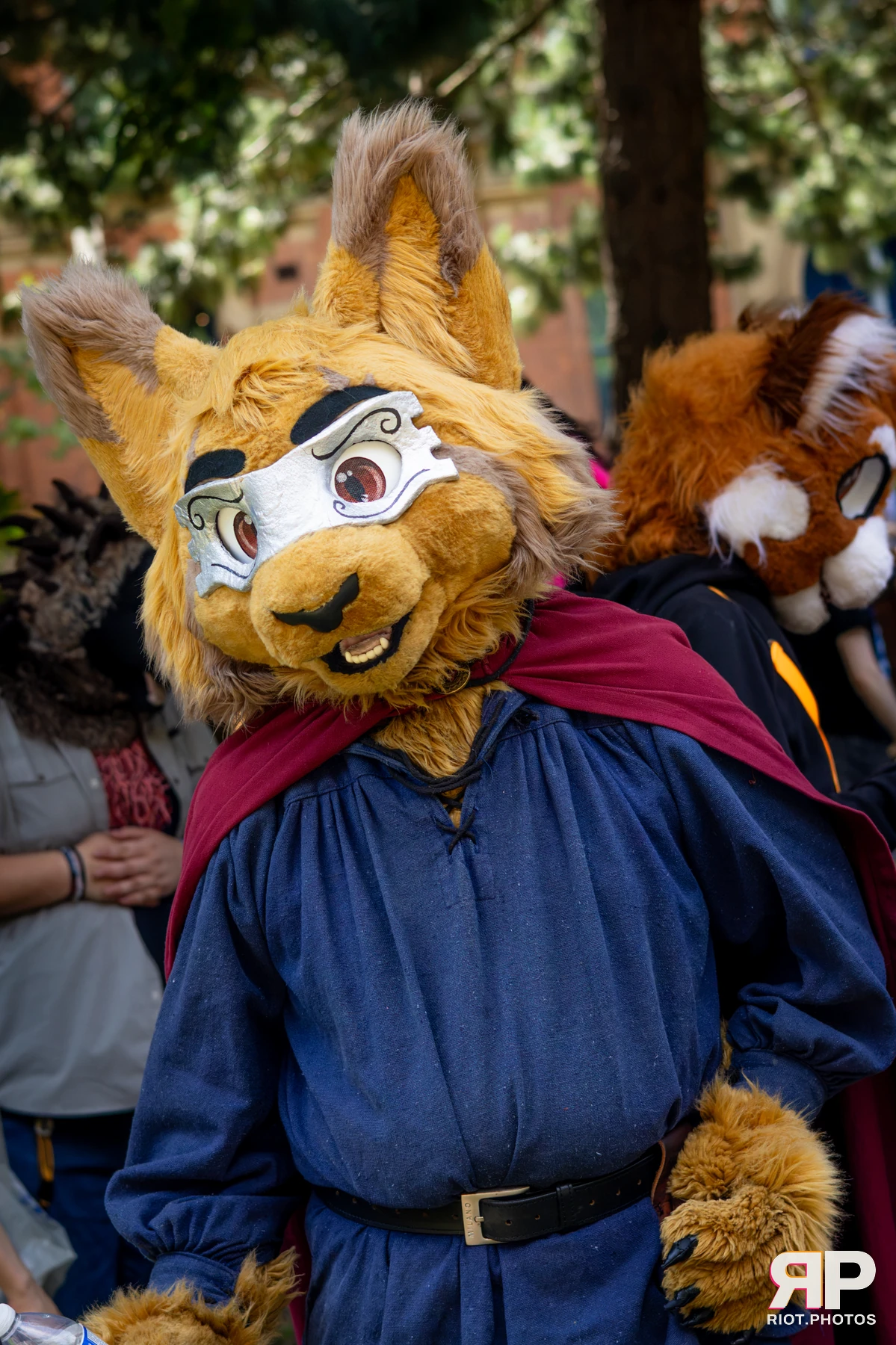 MancFurs - July, 2026 — 11 Jul 2026, Fluffy Riot photography — photo 14