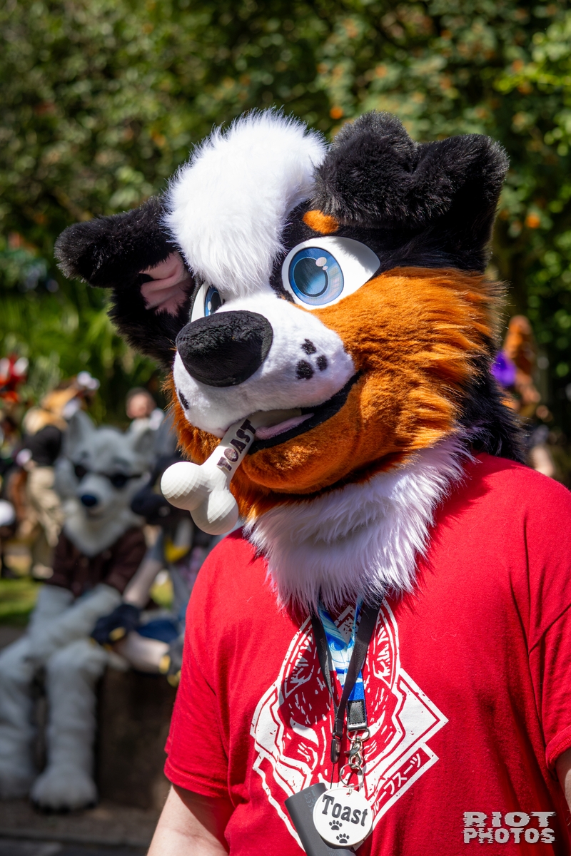 2026-07-11 MancFurs-202607-015.jpg