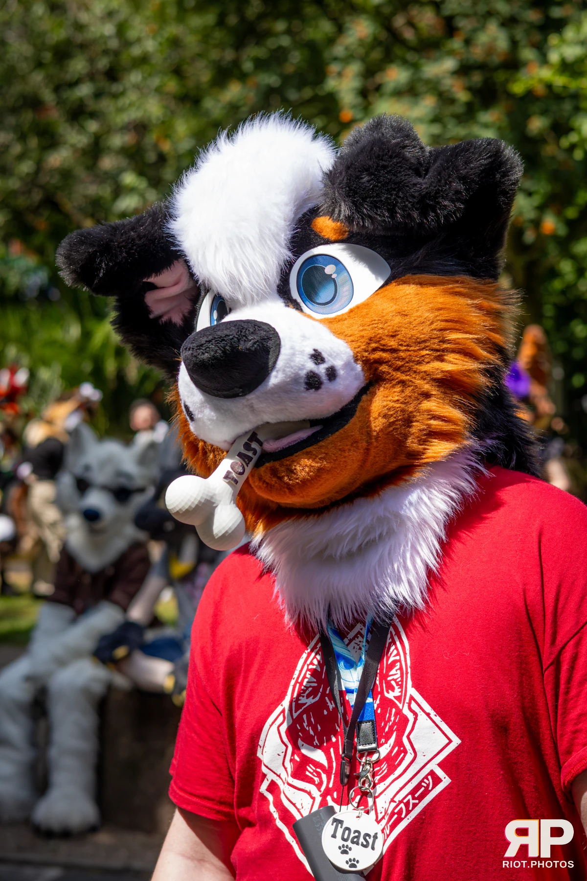 MancFurs - July, 2026 — 11 Jul 2026, Fluffy Riot photography — photo 15