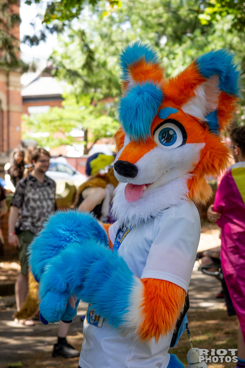 2026-07-11 MancFurs-202607-018.jpg