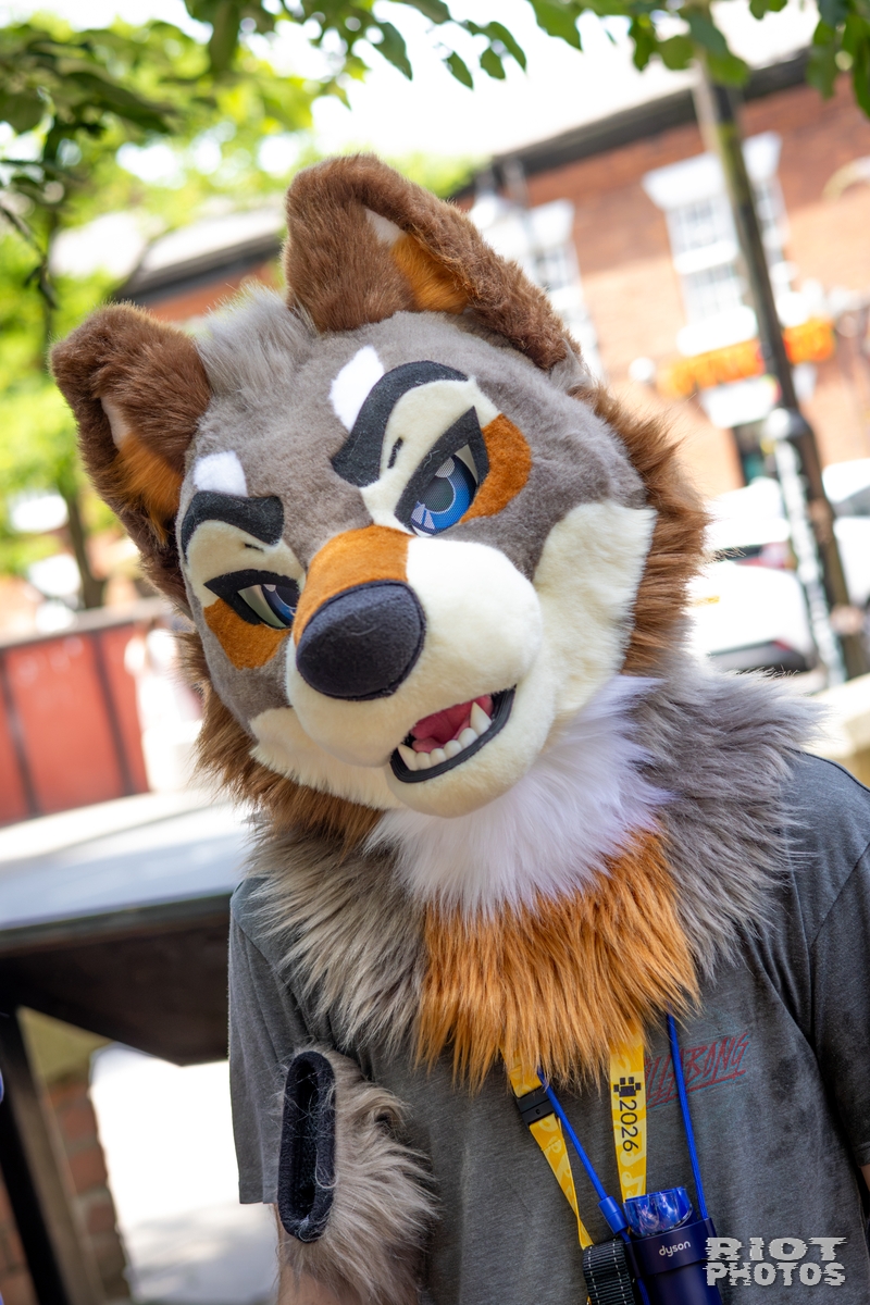 2026-07-11 MancFurs-202607-022.jpg