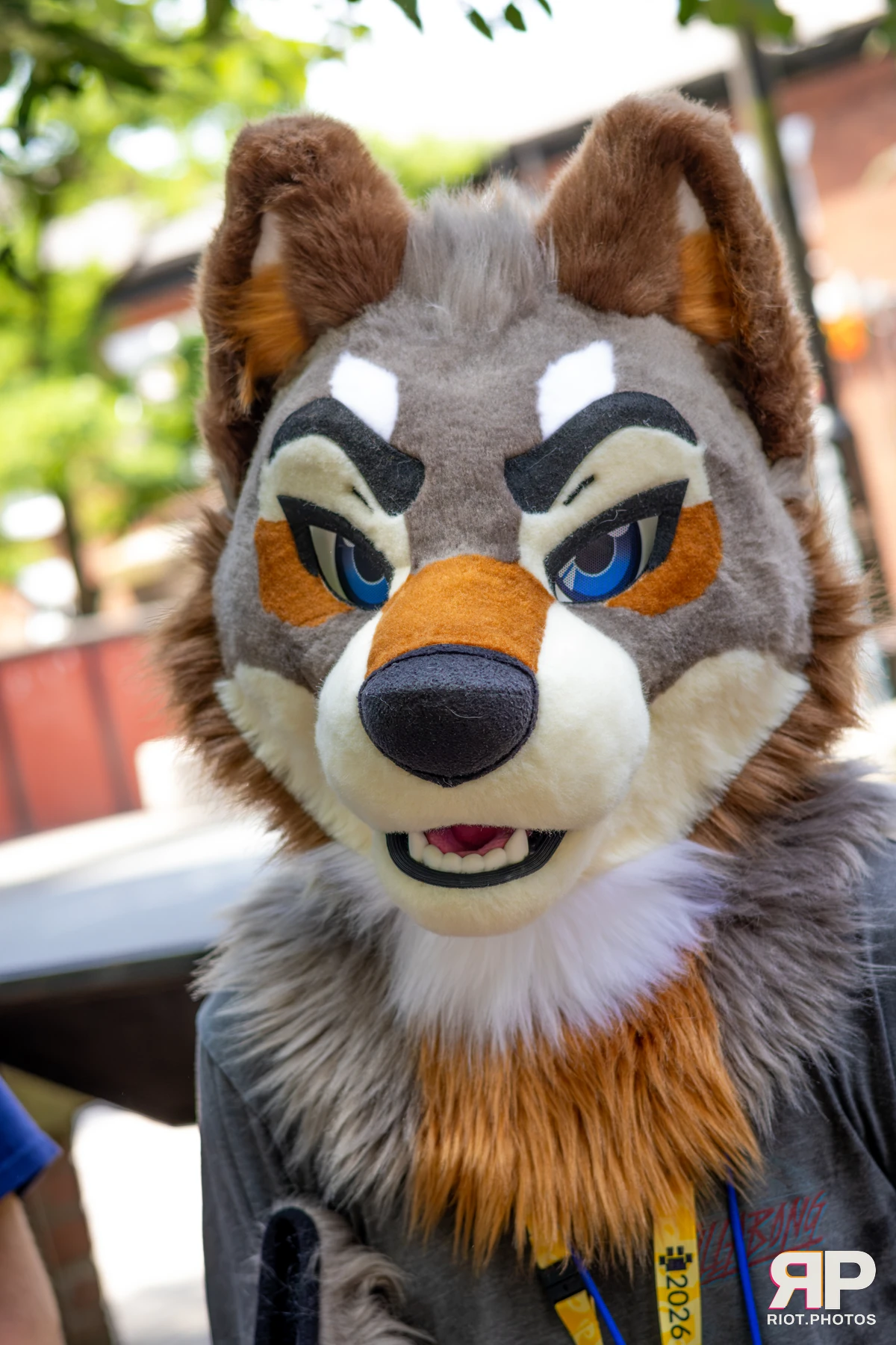 MancFurs - July, 2026 — 11 Jul 2026, Fluffy Riot photography — photo 23