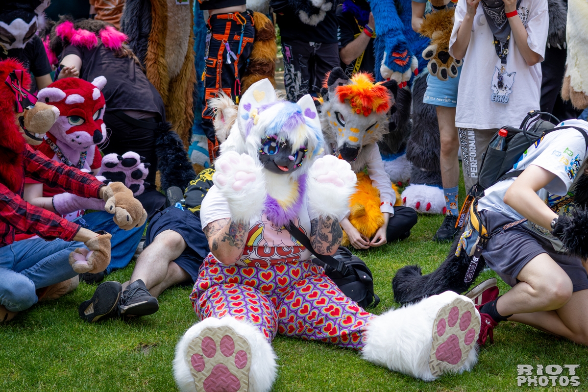 2026-07-11 MancFurs-202607-033.jpg