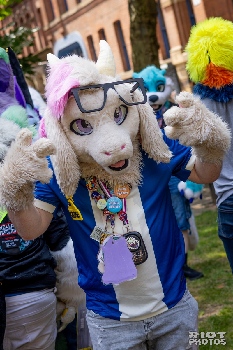 2026-07-11 MancFurs-202607-034.jpg