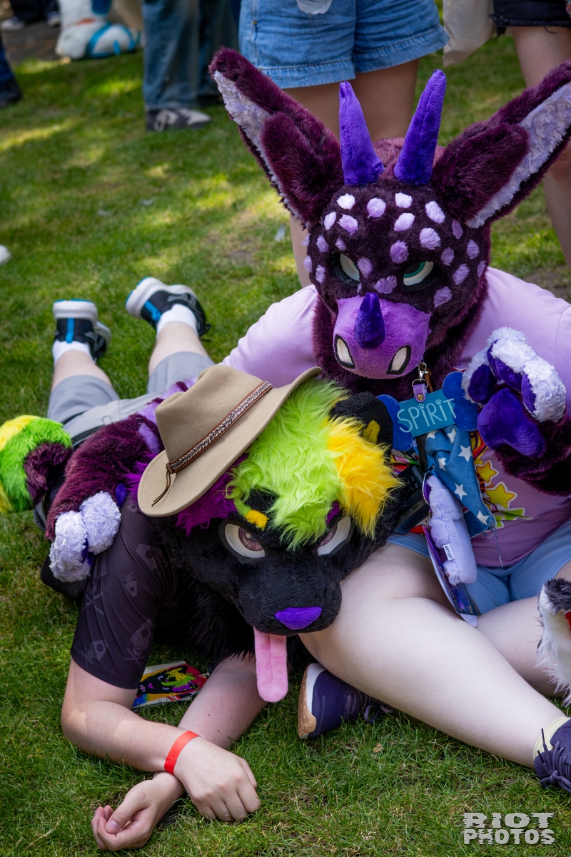 2026-07-11 MancFurs-202607-035.jpg