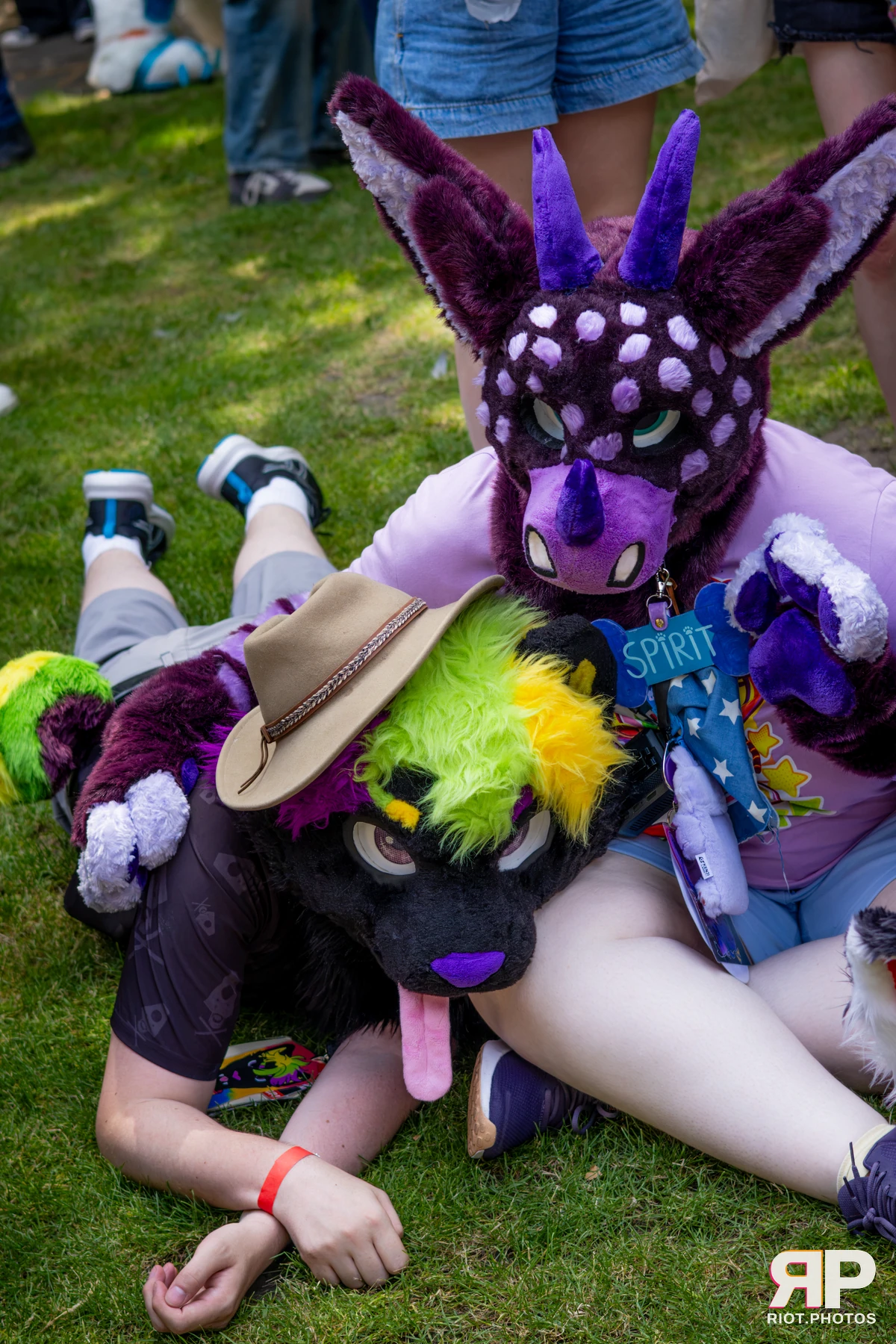 MancFurs - July, 2026 — 11 Jul 2026, Fluffy Riot photography — photo 35