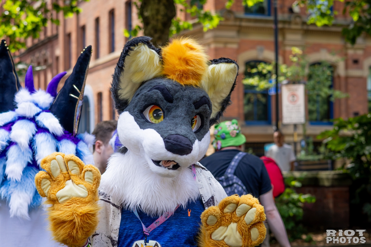 2026-07-11 MancFurs-202607-037.jpg