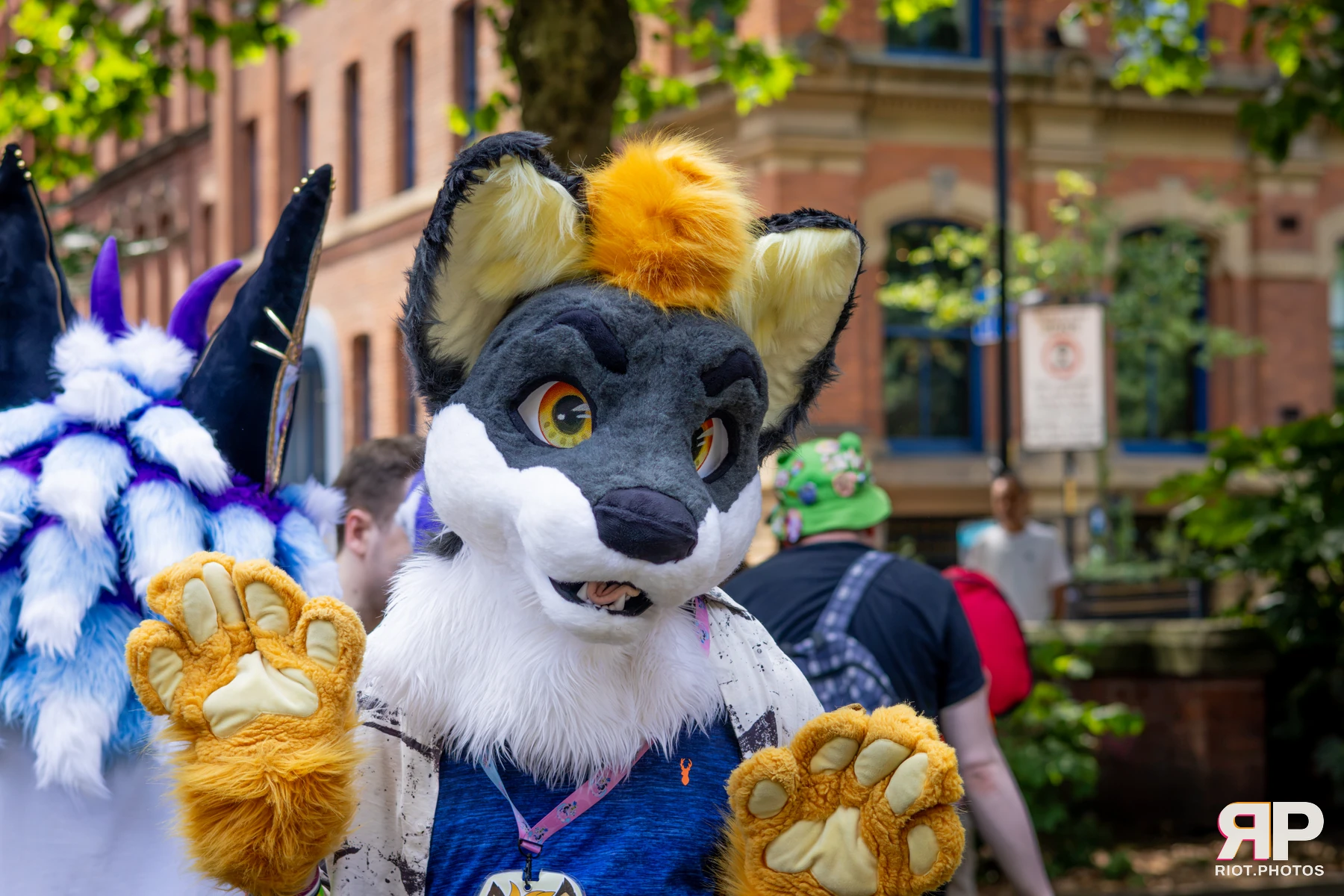 MancFurs - July, 2026 — 11 Jul 2026, Fluffy Riot photography — photo 37