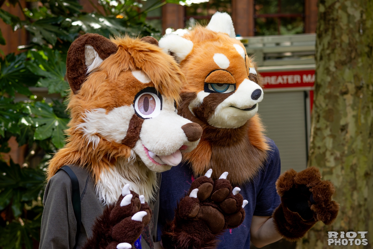 2026-07-11 MancFurs-202607-039.jpg