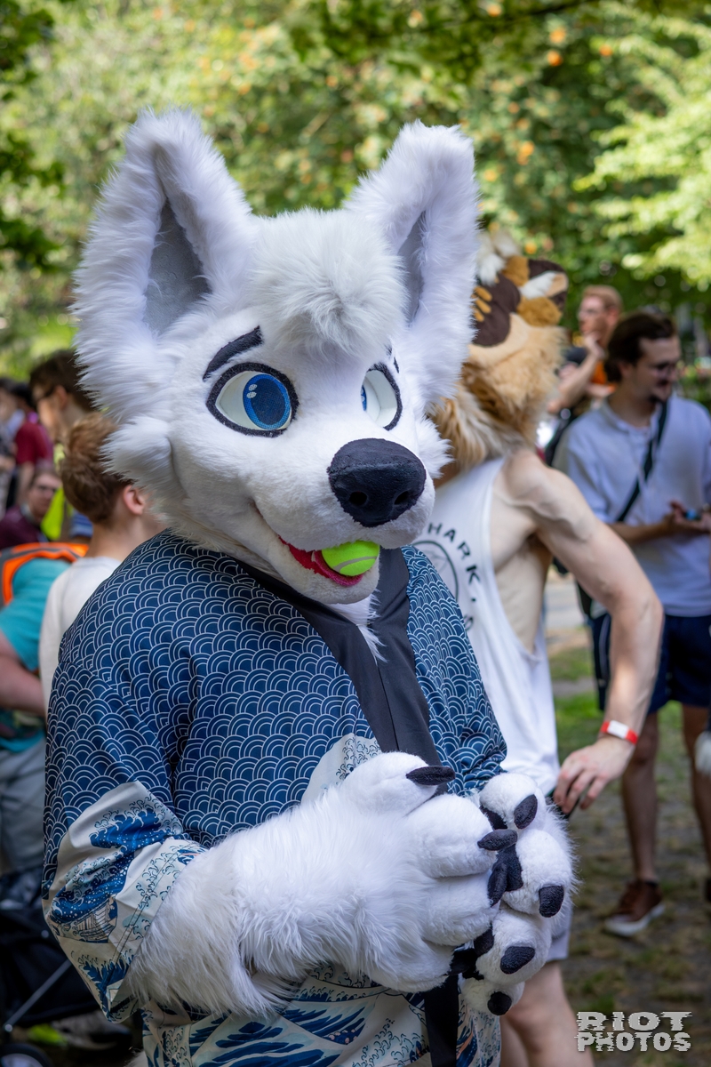 2026-07-11 MancFurs-202607-041.jpg