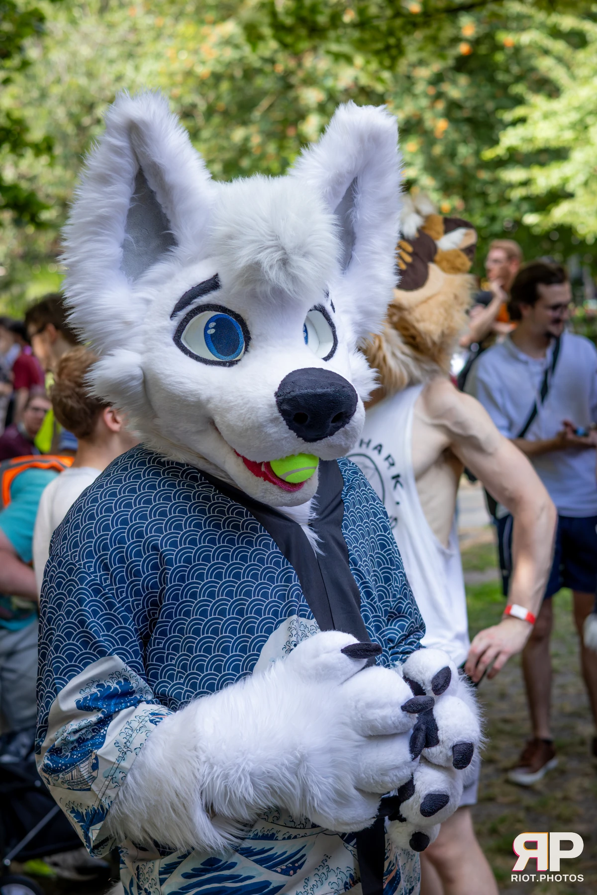 MancFurs - July, 2026 — 11 Jul 2026, Fluffy Riot photography — photo 41