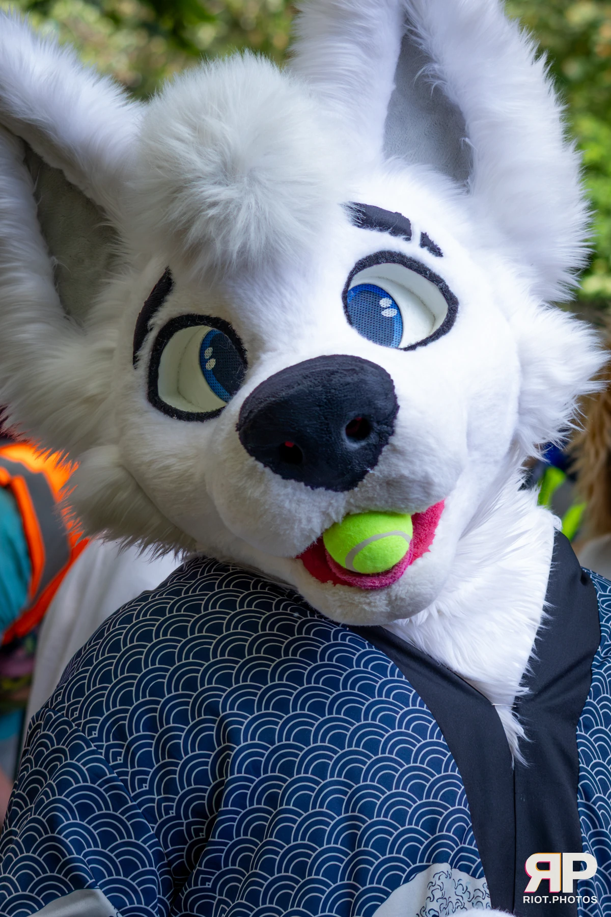 MancFurs - July, 2026 — 11 Jul 2026, Fluffy Riot photography — photo 42