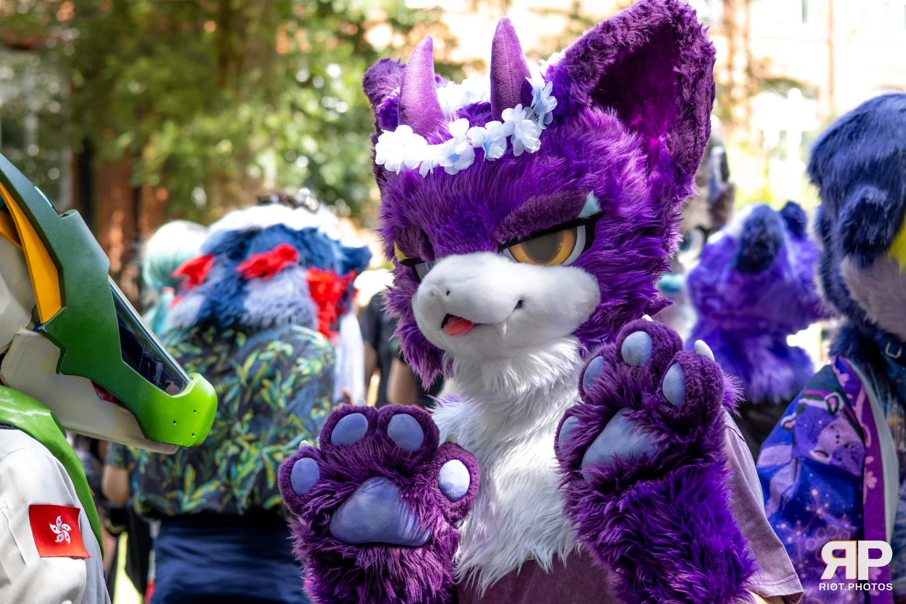 MancFurs - July, 2026 — 11 Jul 2026, Fluffy Riot photography — photo 43