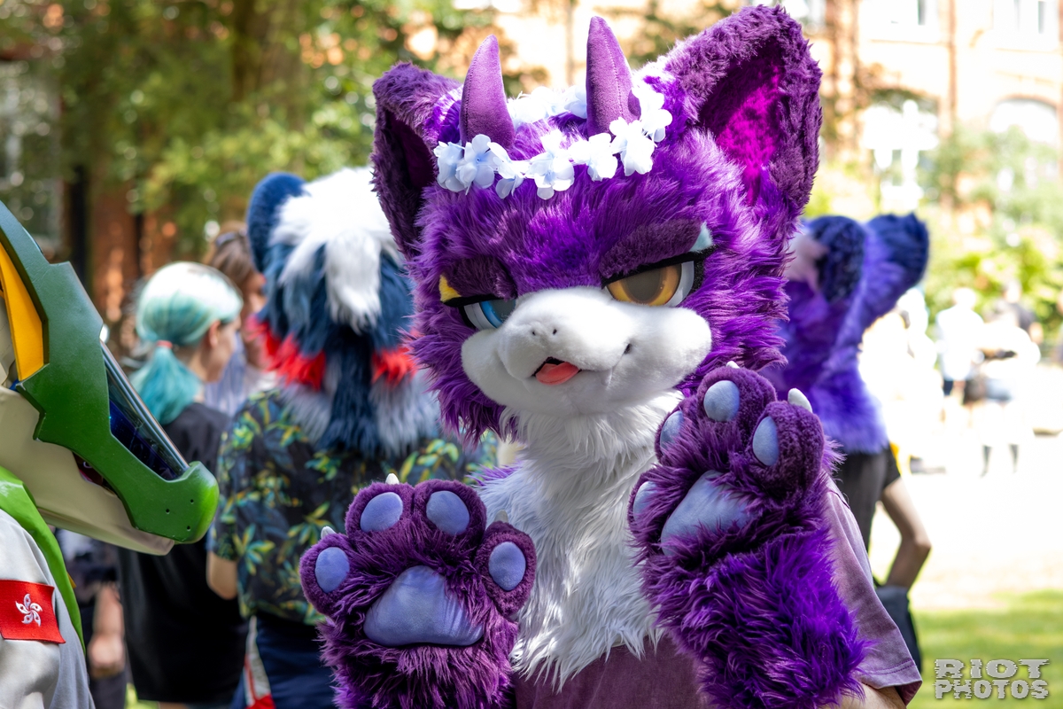 2026-07-11 MancFurs-202607-044.jpg