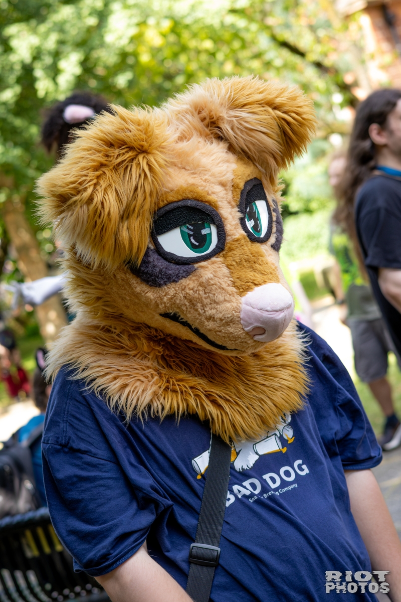 2026-07-11 MancFurs-202607-046.jpg