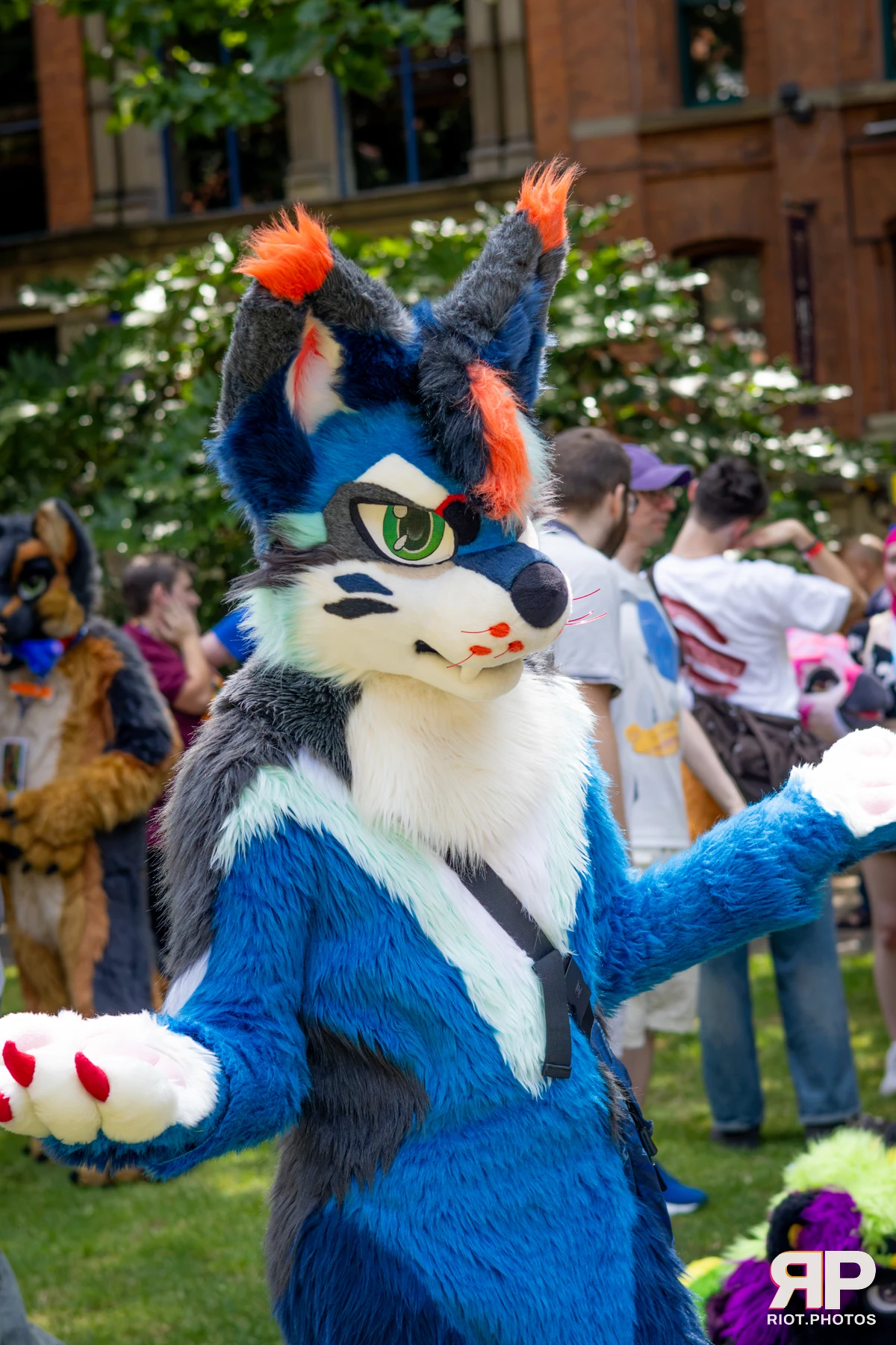 MancFurs - July, 2026 — 11 Jul 2026, Fluffy Riot photography — photo 49