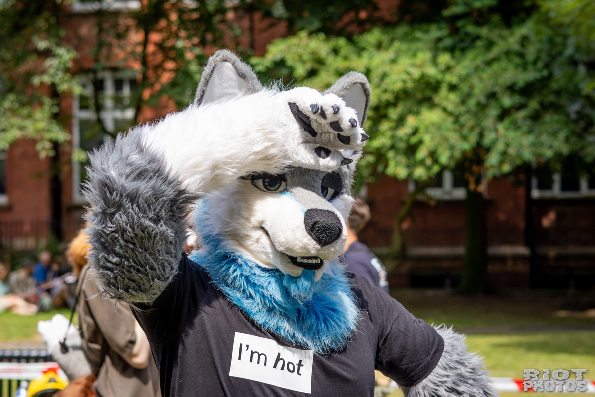 2026-07-11 MancFurs-202607-055.jpg