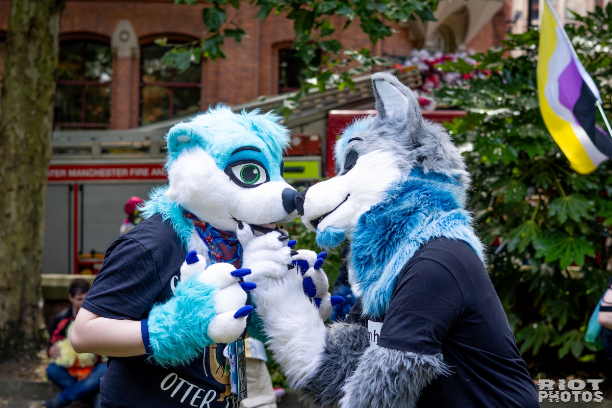 2026-07-11 MancFurs-202607-057.jpg