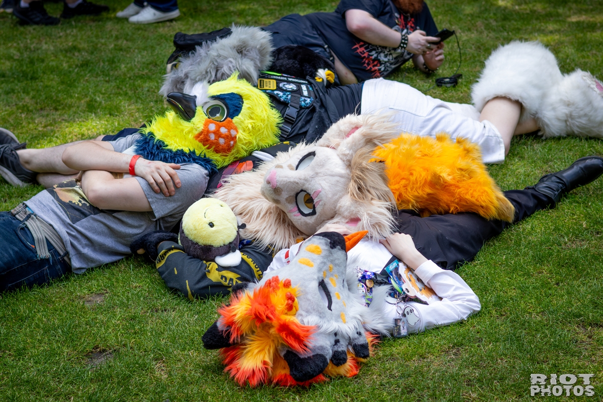 2026-07-11 MancFurs-202607-058.jpg