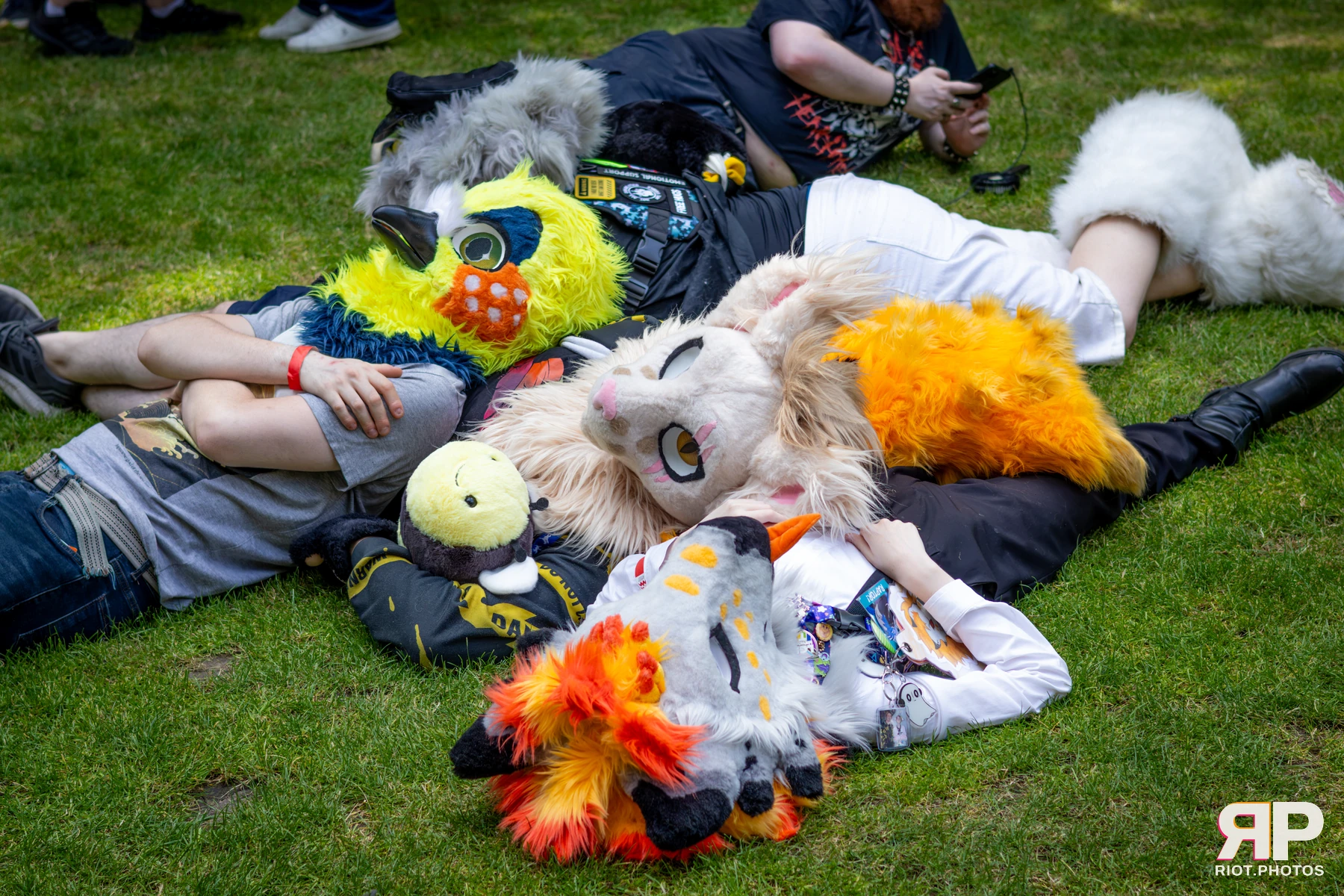 MancFurs - July, 2026 — 11 Jul 2026, Fluffy Riot photography — photo 58