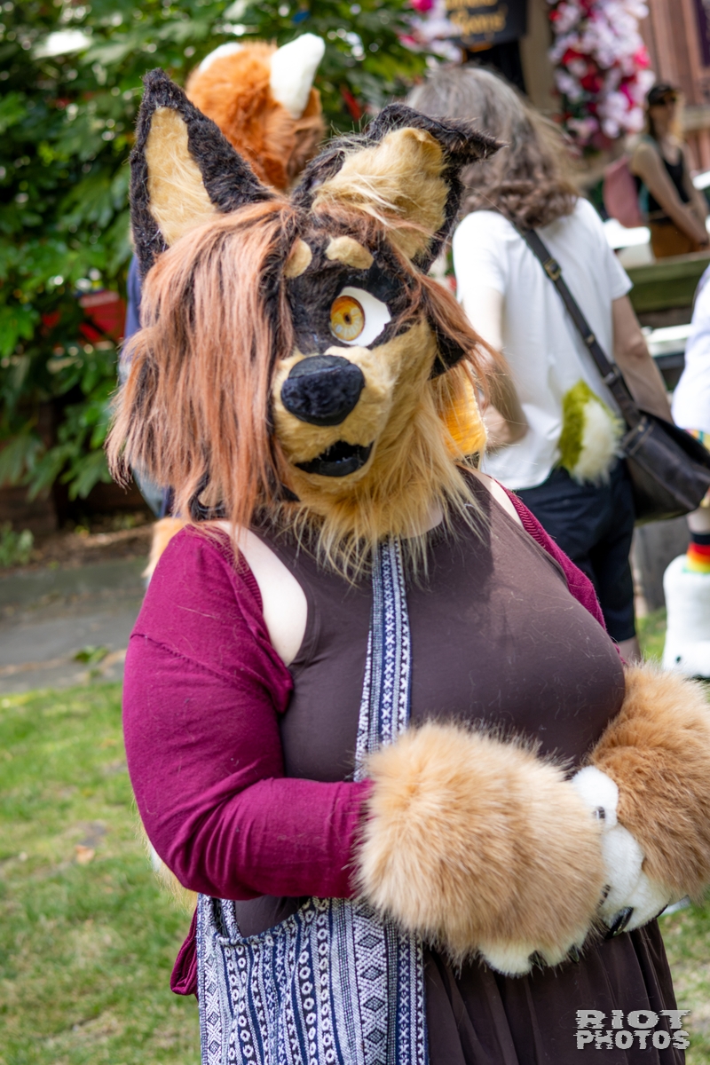 2026-07-11 MancFurs-202607-060.jpg
