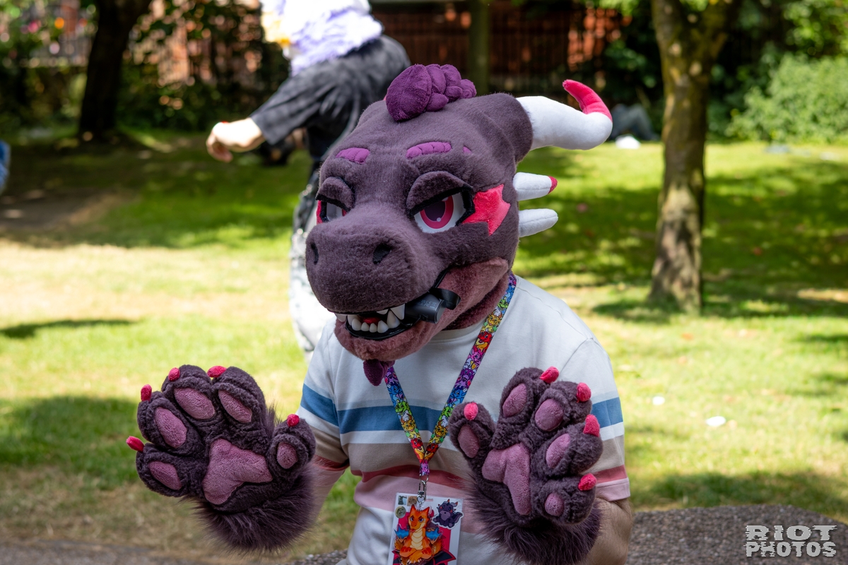 2026-07-11 MancFurs-202607-062.jpg