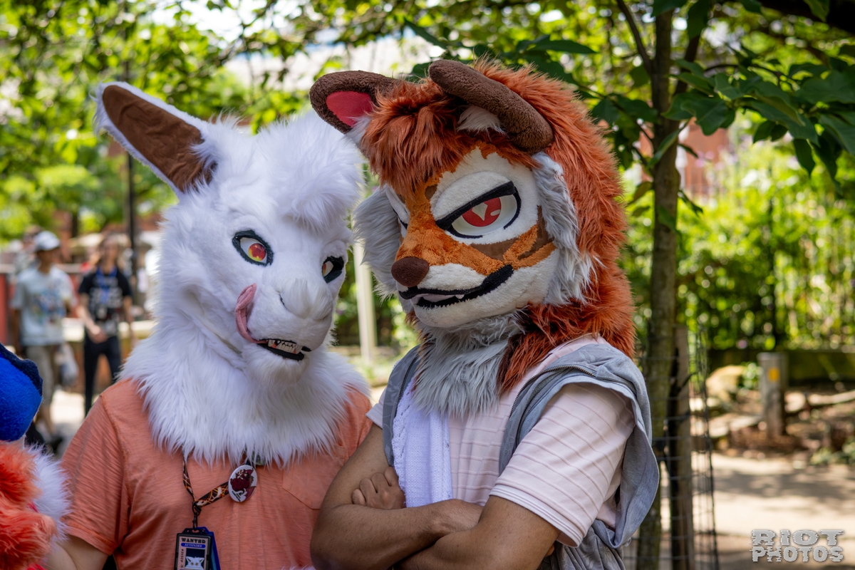 2026-07-11 MancFurs-202607-064.jpg