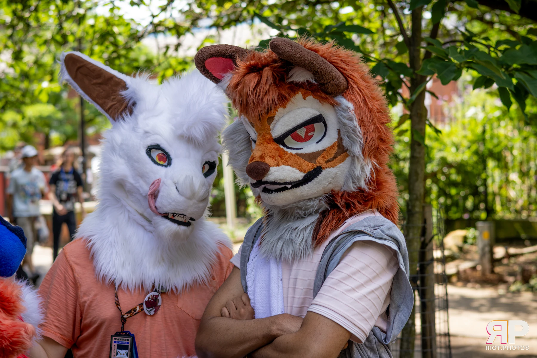 MancFurs - July, 2026 — 11 Jul 2026, Fluffy Riot photography — photo 64