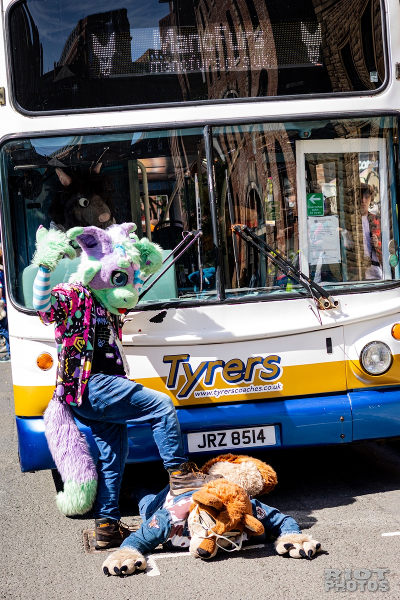 2026-08-08 MancFurs-202608-010.jpg