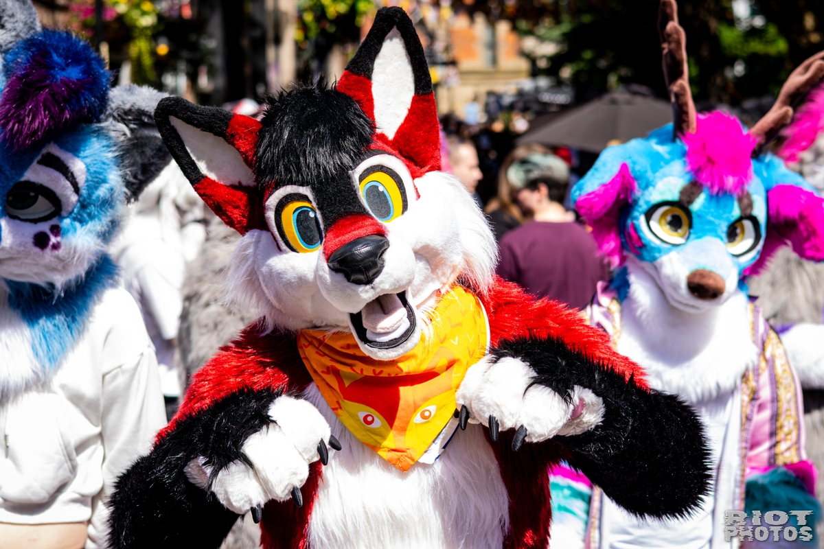2026-08-08 MancFurs-202608-013.jpg