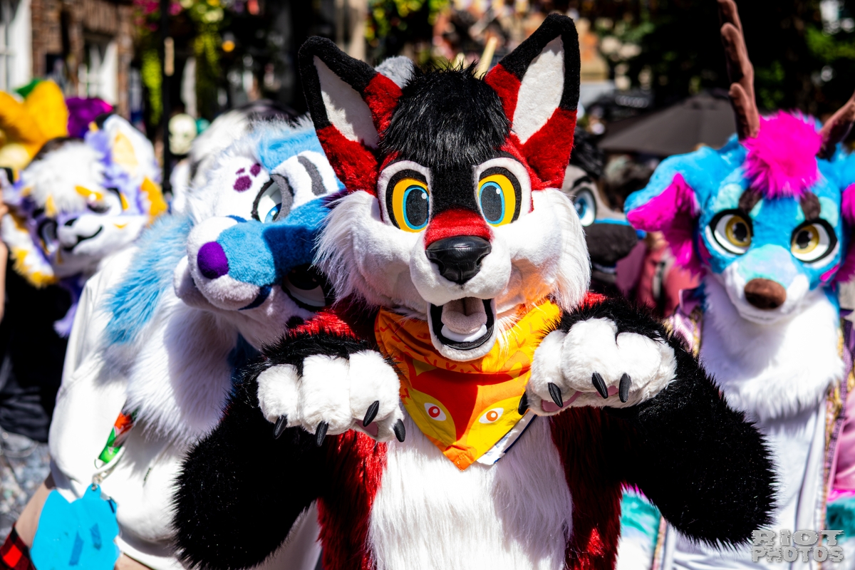 2026-08-08 MancFurs-202608-014.jpg