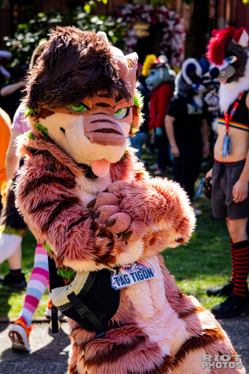 2026-08-08 MancFurs-202608-015.jpg