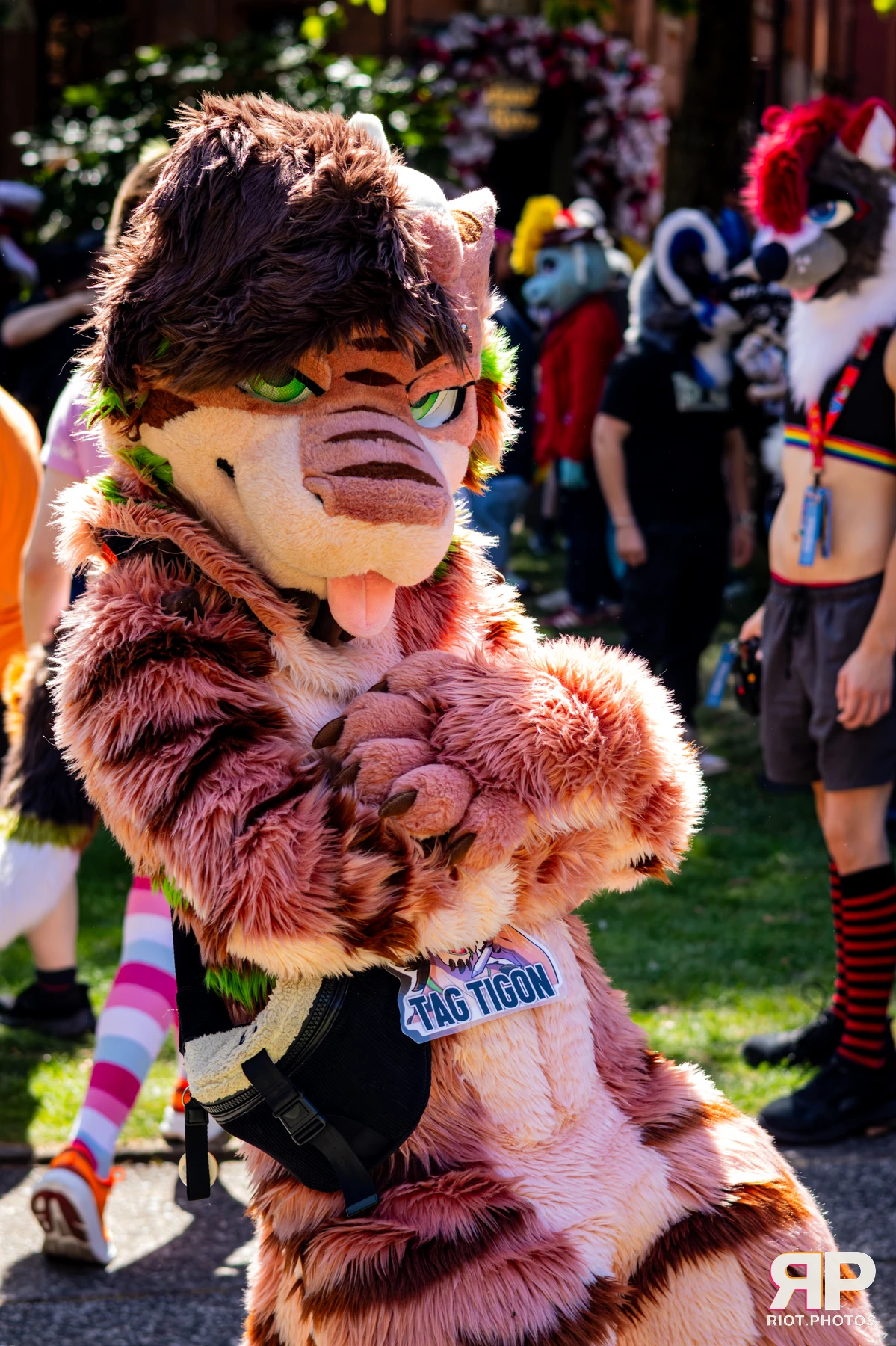 MancFurs - August, 2026 - 08 Aug 2026, Fluffy Riot photography - photo 15