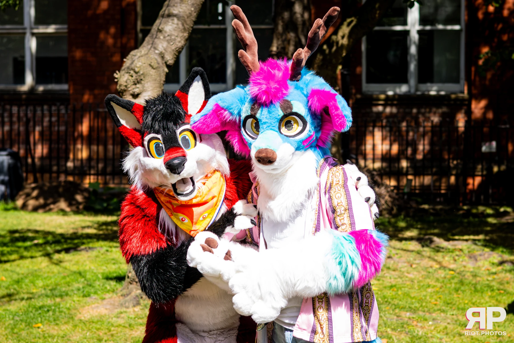 MancFurs - August, 2026 - 08 Aug 2026, Fluffy Riot photography - photo 18