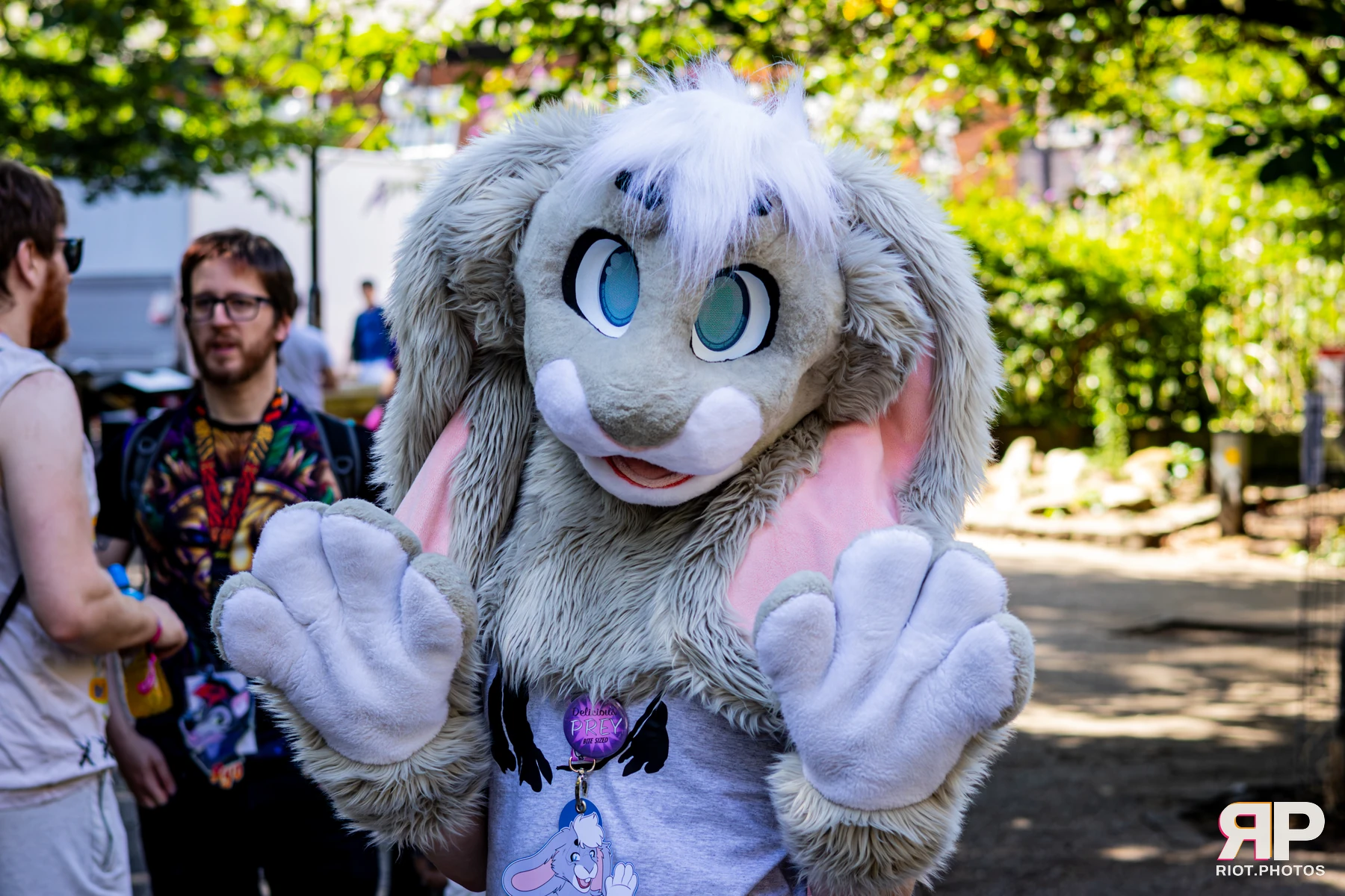 MancFurs - August, 2026 - 08 Aug 2026, Fluffy Riot photography - photo 22