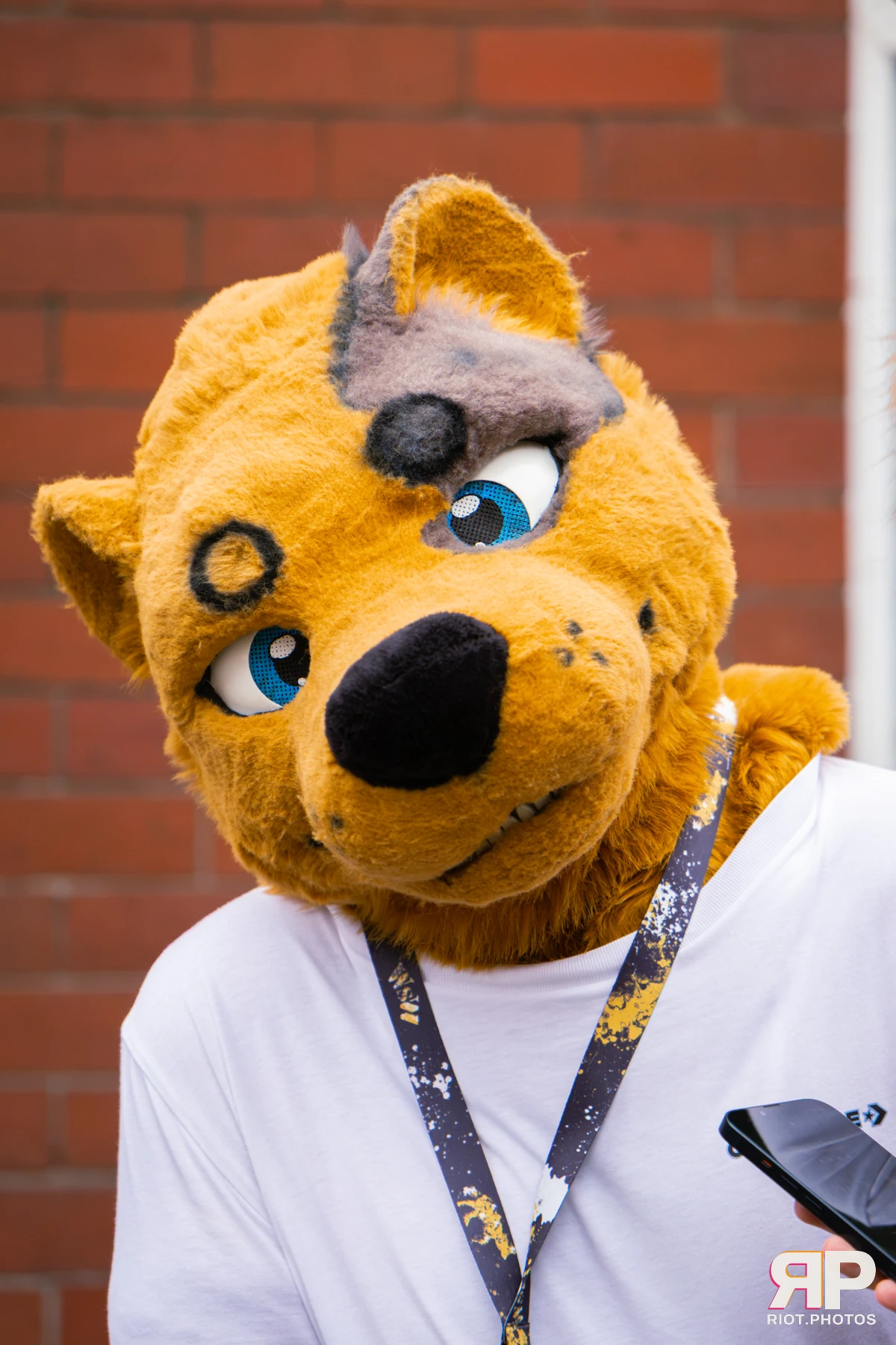 MancFurs - September, 2026 — 12 Sep 2026, Fluffy Riot photography — photo 4