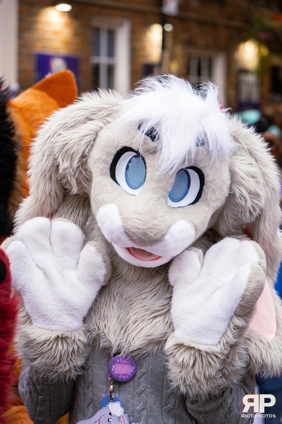 MancFurs - September, 2026 — 12 Sep 2026, Fluffy Riot photography — photo 5