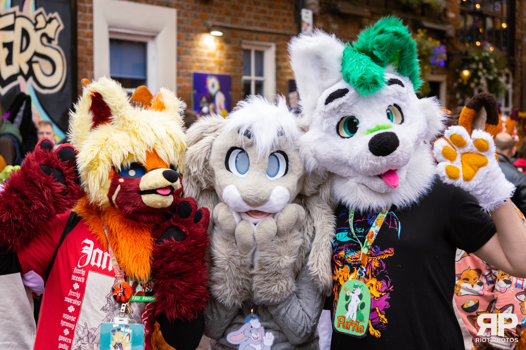 MancFurs - September, 2026 — 12 Sep 2026, Fluffy Riot photography — photo 6