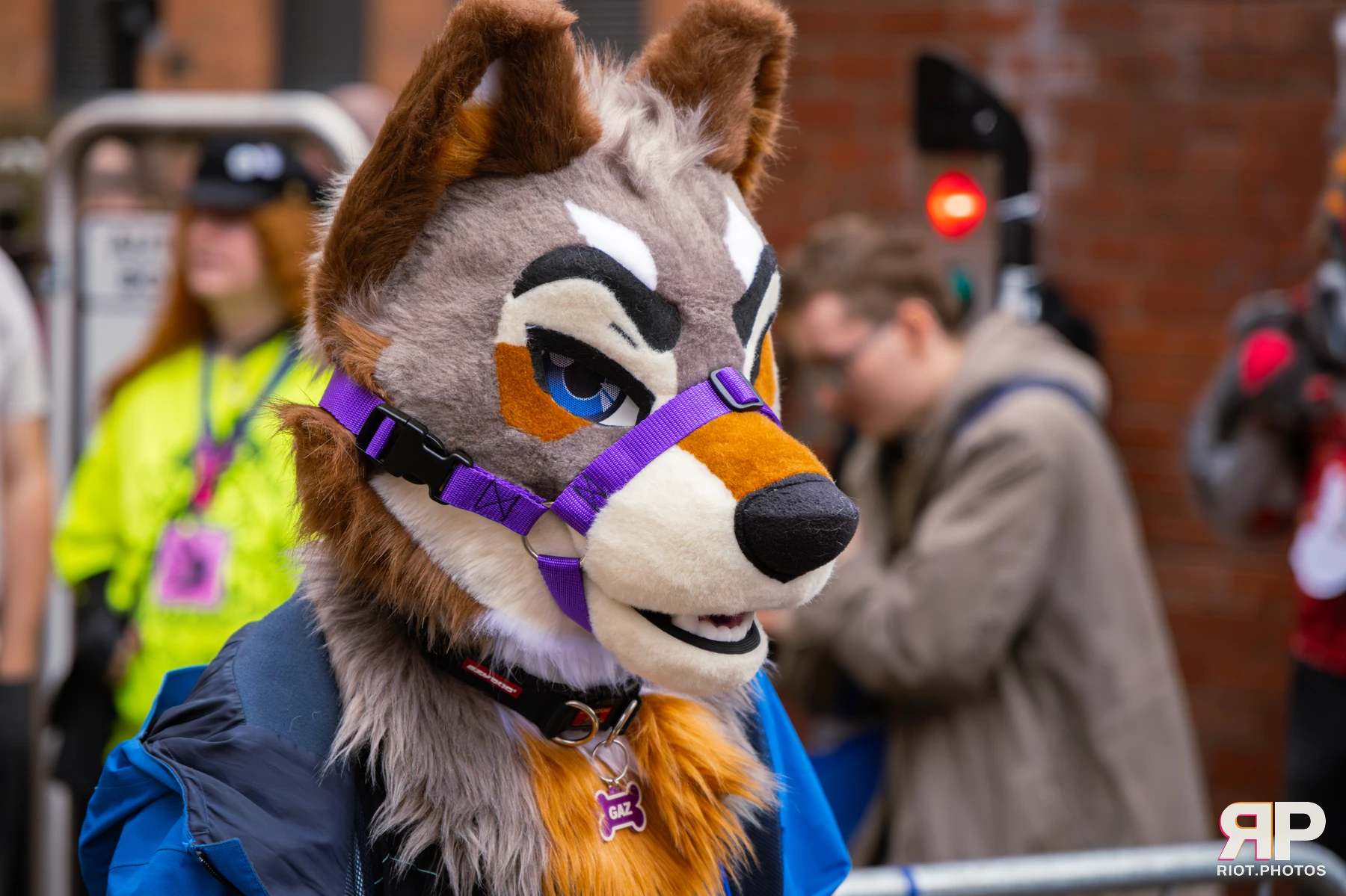 MancFurs - September, 2026 — 12 Sep 2026, Fluffy Riot photography — photo 7
