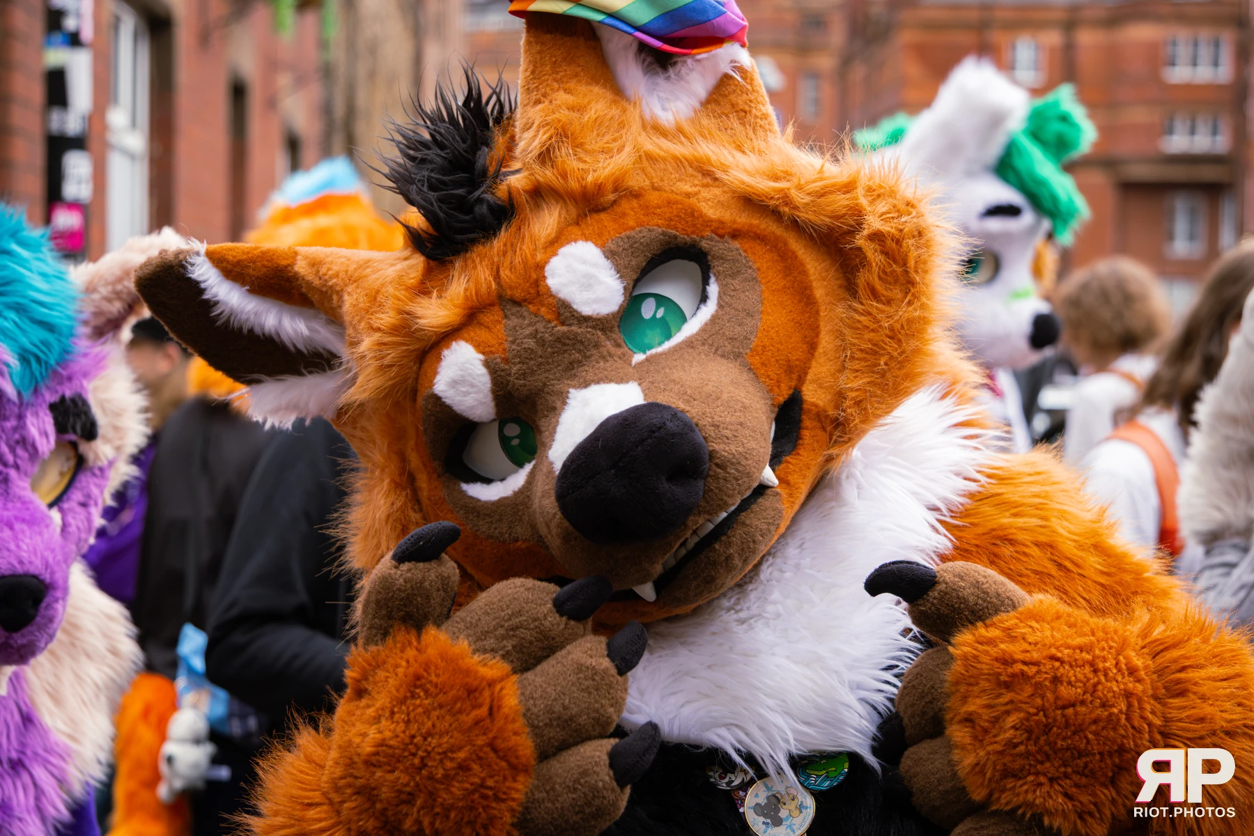 MancFurs - September, 2026 — 12 Sep 2026, Fluffy Riot photography — photo 9