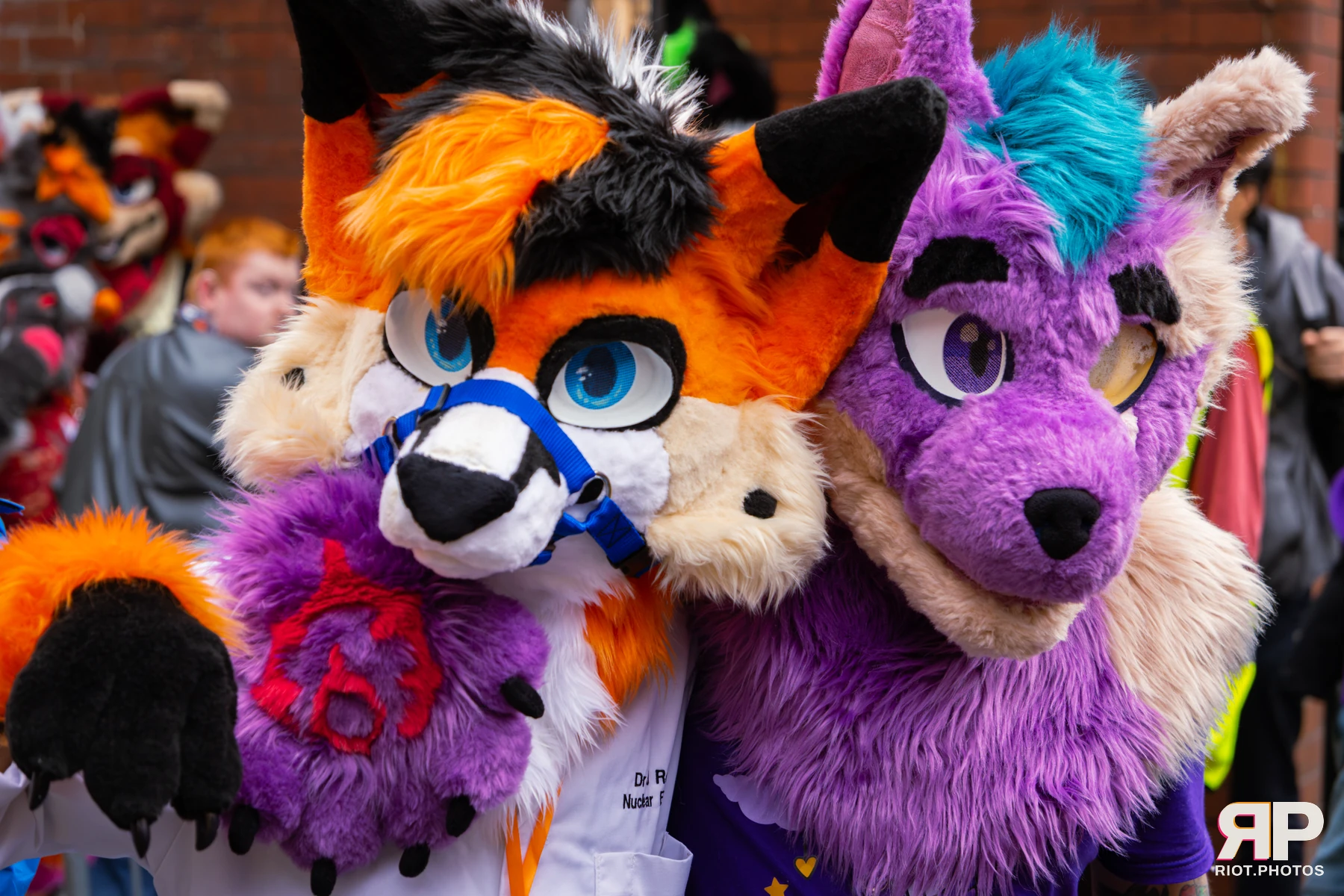 MancFurs - September, 2026 — 12 Sep 2026, Fluffy Riot photography — photo 10